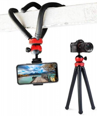 ����� ����� ����� �����������, ������ �������, ������ ��������� - ���� �� ����� ������ ������������ ��������