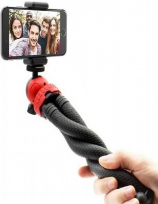 ����� ����� ����� �����������, ������ �������, ������ ��������� - ���� �� ����� ������ ������������ ��������