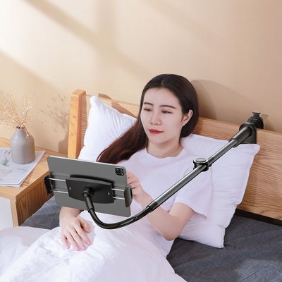 ���� ����� ������ ��������� ������ - ������ ������, ���� ���� - BASEUS LAZY HOLDER