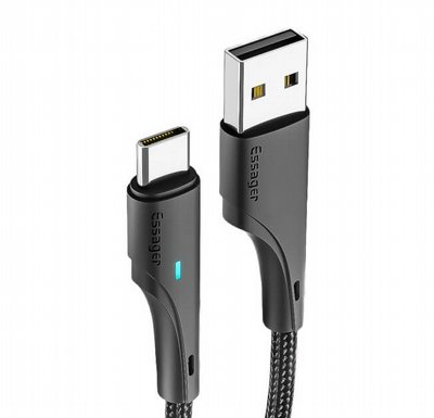 ��� ����� ������� TYPE C � USB - ���� - 2 ���